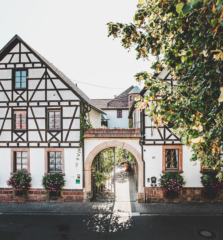 Unser Bioland-Weingut in der Pfalz befindet sich bereits seit 1616 in Familienbesitz.